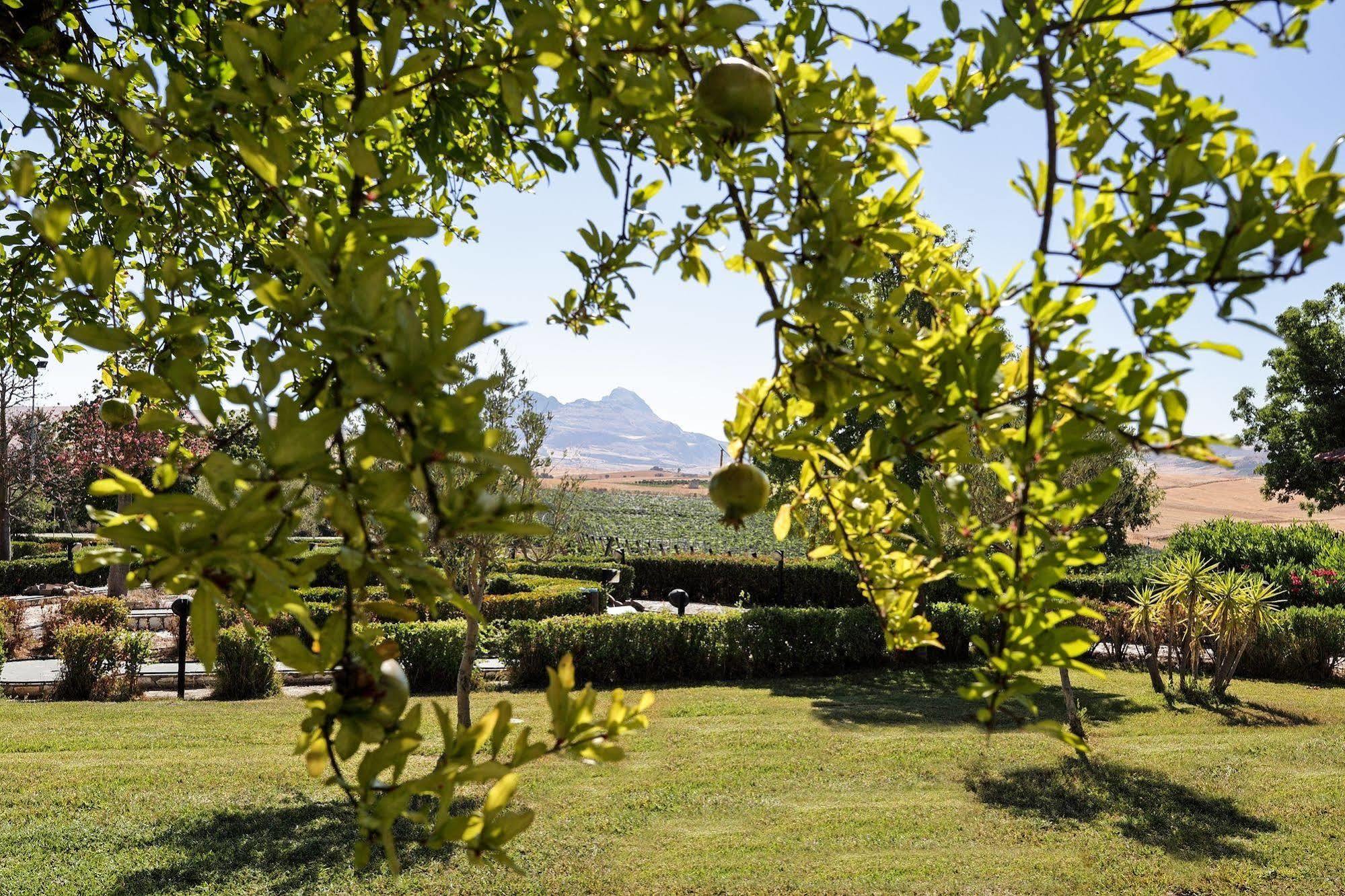 Agriturismo Tenute Pollara Roccamena Eksteriør bilde